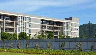 伊春职业学院爆料视频播放,揭秘校园内幕 第1张 伊春职业学院爆料视频播放,揭秘校园内幕 第1张